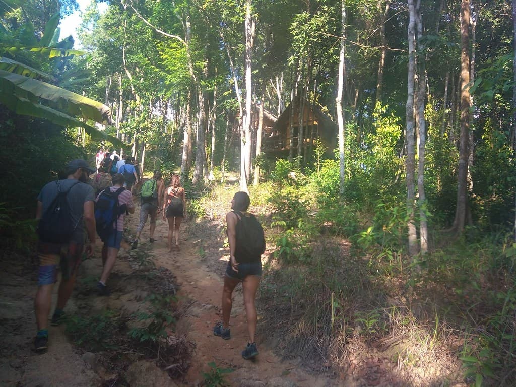 Guests hiking through green jungle on Khao Ra, Koh Phangan